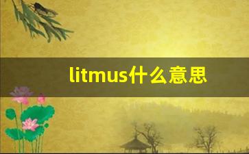 litmus什么意思,litmus中文翻译,litmus用法及例句,litmus怎么读-第1张图片-我的生活随想