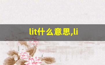 lit什么意思,lit中文翻译,lit用法及例句,lit怎么读-第1张图片-我的生活随想
