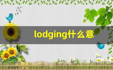 lodging什么意思,lodging中文翻译,lodging用法及例句,lodging怎么读-第1张图片-我的生活随想