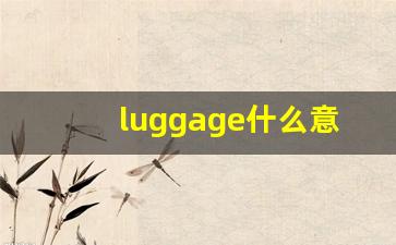 luggage什么意思,luggage中文翻译,luggage用法及例句,luggage怎么读-第1张图片-我的生活随想