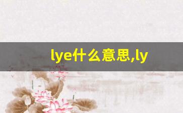 lye什么意思,lye中文翻译,lye用法及例句,lye怎么读-第1张图片-我的生活随想