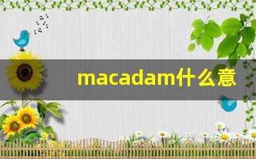 macadam什么意思,macadam中文翻译,macadam用法及例句,macadam怎么读-第1张图片-我的生活随想