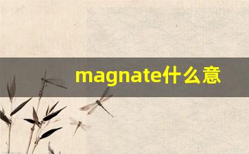 magnate什么意思,magnate中文翻译,magnate用法及例句,magnate怎么读-第1张图片-我的生活随想