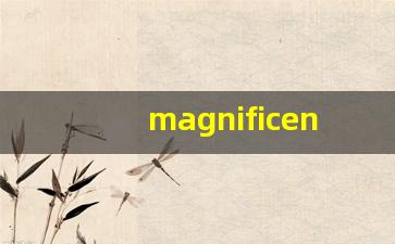 magnificence什么意思,magnificence中文翻译,magnificence用法及例句,magnificence怎么读-第1张图片-我的生活随想