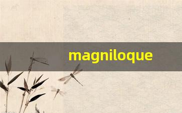 magniloquent什么意思,magniloquent中文翻译,magniloquent用法及例句,magniloquent怎么读-第1张图片-我的生活随想