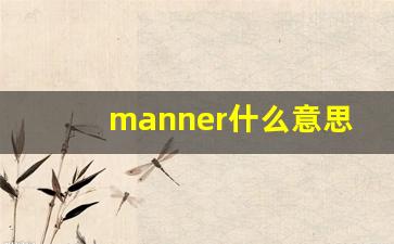 manner什么意思,manner中文翻译,manner用法及例句,manner怎么读-第1张图片-我的生活随想