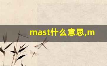 mast什么意思,mast中文翻译,mast用法及例句,mast怎么读-第1张图片-我的生活随想