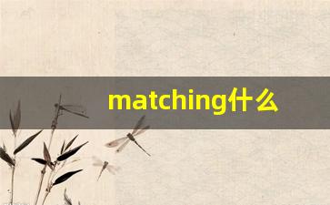 matching什么意思,matching用法,matching造句-第1张图片-我的生活随想