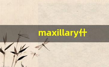 maxillary什么意思,maxillary用法,maxillary造句-第1张图片-我的生活随想