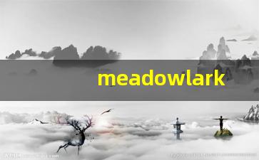 meadowlark什么意思,meadowlark用法,meadowlark造句-第1张图片-我的生活随想