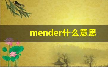 mender什么意思,mender中文翻译,mender用法及例句,mender怎么读-第1张图片-我的生活随想