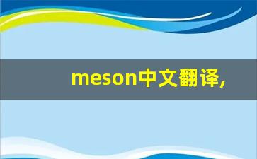meson中文翻译,meson发音,meson用法及例句,meson是什么意思-第1张图片-我的生活随想