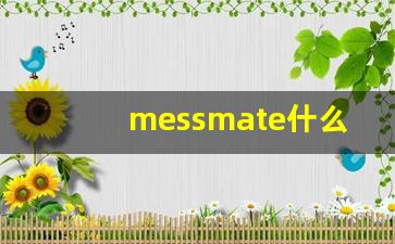 messmate什么意思,messmate中文翻译,messmate用法及例句,messmate怎么读-第1张图片-我的生活随想