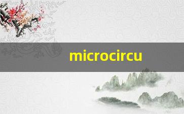 microcircuit什么意思,microcircuit中文翻译,microcircuit用法及例句,microcircuit怎么读-第1张图片-我的生活随想