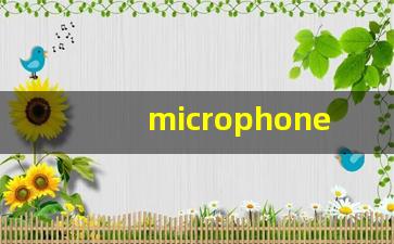microphone什么意思,microphone中文翻译,microphone用法及例句,microphone怎么读-第1张图片-我的生活随想