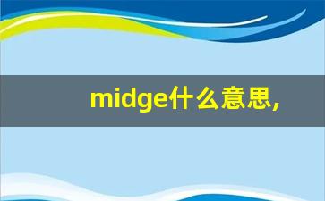 midge什么意思,midge中文翻译,midge用法及例句,midge怎么读-第1张图片-我的生活随想