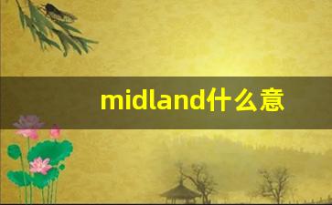 midland什么意思,midland中文翻译,midland用法及例句,midland怎么读-第1张图片-我的生活随想