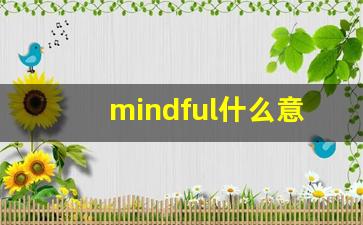 mindful什么意思,mindful中文翻译,mindful用法及例句,mindful怎么读-第1张图片-我的生活随想