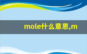 mole什么意思,mole中文翻译,mole用法及例句,mole怎么读-第1张图片-我的生活随想