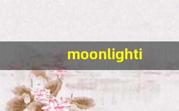 moonlighting什么意思,moonlighting中文翻译,moonlighting用法及例句,moonlighting怎么读-第1张图片-我的生活随想