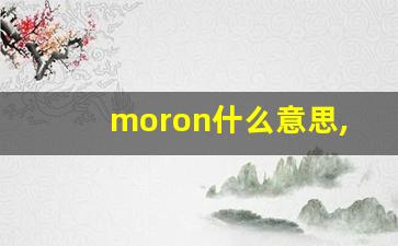 moron什么意思,moron中文翻译,moron用法及例句,moron怎么读-第1张图片-我的生活随想
