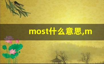 most什么意思,most中文翻译,most用法及例句,most怎么读-第1张图片-我的生活随想