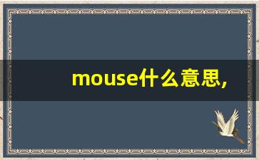 mouse什么意思,mouse中文翻译,mouse用法及例句,mouse怎么读-第1张图片-我的生活随想