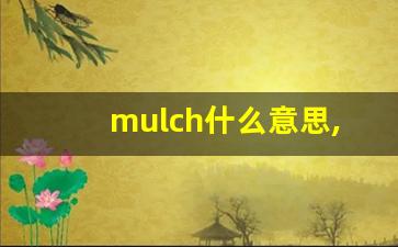 mulch什么意思,mulch中文翻译,mulch用法及例句,mulch怎么读-第1张图片-我的生活随想