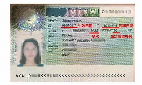 详解多重赞助类型签证（Multiple Visa Type of Sponsor）特点与应用  第1张