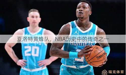 nba发展历史黄蜂对鹈鹕,nba黄蜂队和鹈鹕