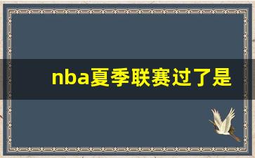 nba夏季联赛过了是什么-nba夏季联赛过了是什么比赛
