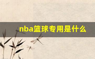 nba篮球专用是什么牌子-nba篮球专用是什么牌子的