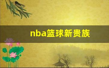 nba篮球新贵族-nba最贵新秀