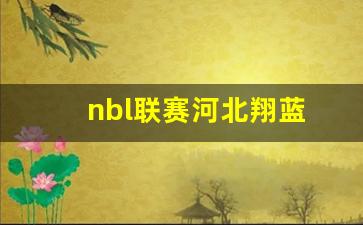 河北nbl篮球队-nbl联赛河北翔蓝