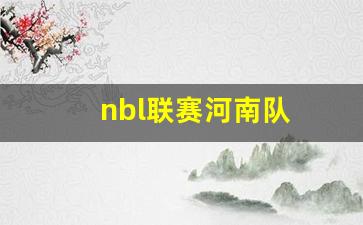 篮球河南队-nbl联赛河南队