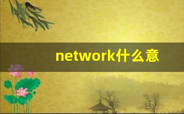 network什么意思,network中文翻译,network用法及例句,network怎么读-第1张图片-我的生活随想
