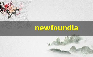 newfoundland什么意思,newfoundland中文翻译,newfoundland用法及例句,newfoundland怎么读-第1张图片-我的生活随想