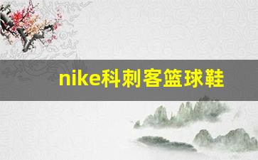 nike刺客系列足球鞋-nike科刺客篮