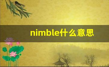 nimble什么意思,nimble中文翻译,nimble用法及例句,nimble怎么读-第1张图片-我的生活随想