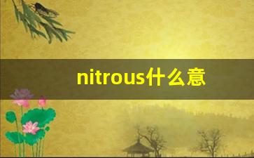 nitrous什么意思,nitrous中文翻译,nitrous用法及例句,nitrous怎么读-第1张图片-我的生活随想