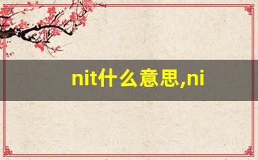 nit什么意思,nit中文翻译,nit用法及例句,nit怎么读-第1张图片-我的生活随想