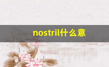nostril什么意思,nostril中文翻译,nostril用法及例句,nostril怎么读-第1张图片-我的生活随想