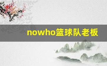 nba战队老板-nowho篮球队老板