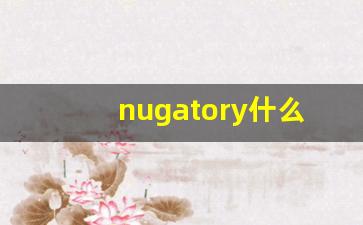 nugatory什么意思,nugatory中文翻译,nugatory用法及例句,nugatory怎么读-第1张图片-我的生活随想