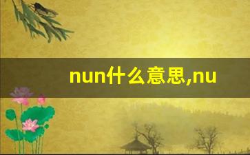 nun什么意思,nun中文翻译,nun用法及例句,nun怎么读-第1张图片-我的生活随想