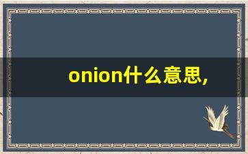 onion什么意思,onion中文翻译,onion用法及例句,onion怎么读-第1张图片-我的生活随想