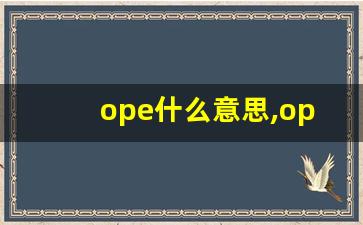 ope什么意思,ope中文翻译,ope用法及例句,ope怎么读-第1张图片-我的生活随想