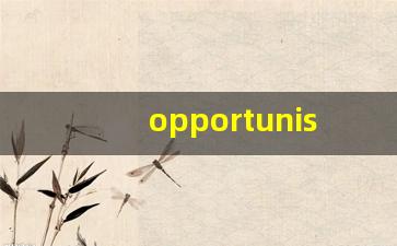 opportunist什么意思,opportunist中文翻译,opportunist用法及例句,opportunist怎么读-第1张图片-我的生活随想