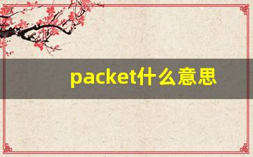 packet什么意思,packet中文翻译,packet用法及例句,packet怎么读-第1张图片-我的生活随想