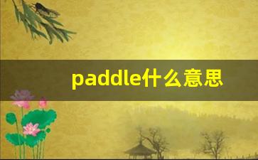 paddle什么意思,paddle中文翻译,paddle用法及例句,paddle怎么读-第1张图片-我的生活随想